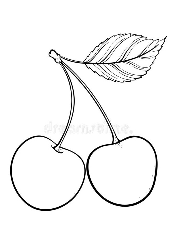 Coloring Pages Free Printable Cherry Coloring Sheet For Kids