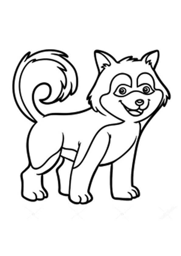 Coloring Pages | Husky Puppy Coloring Pages