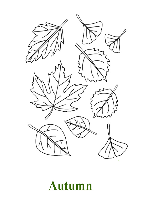 25+ Best collection Autumn Leaves To Color Pages - Fall Leaf Coloring