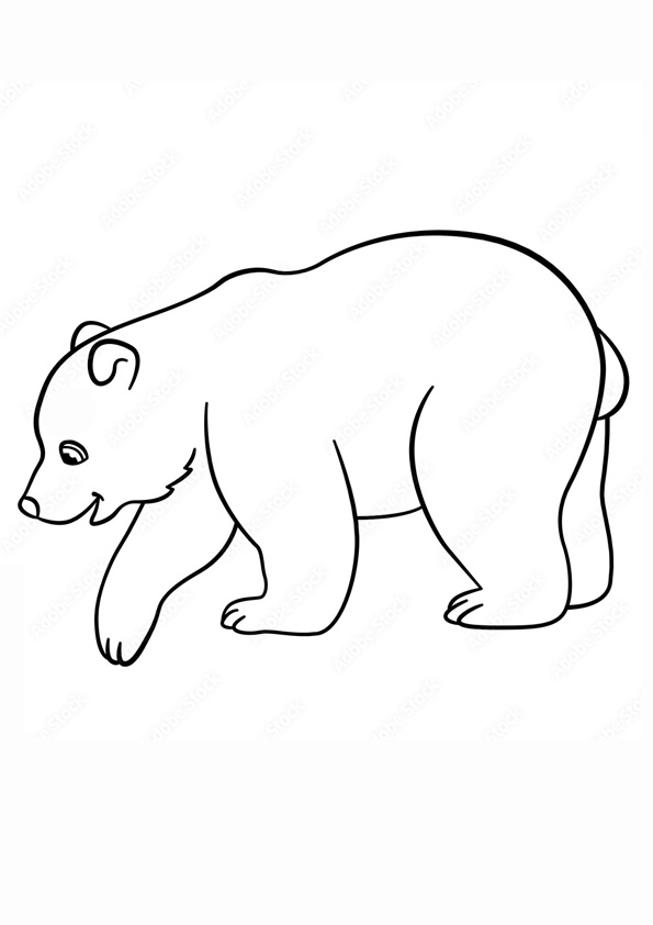 printable coloring pages polar bear