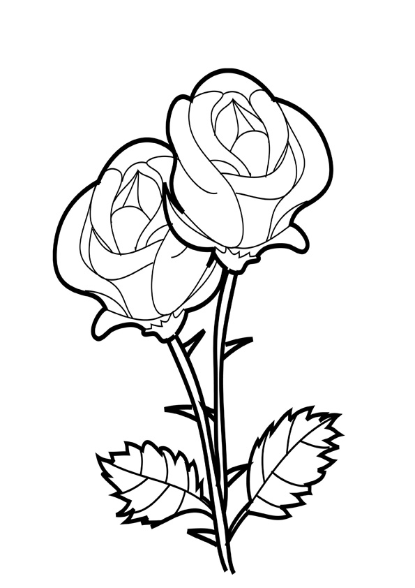 coloring pages  beautiful rose coloring pages