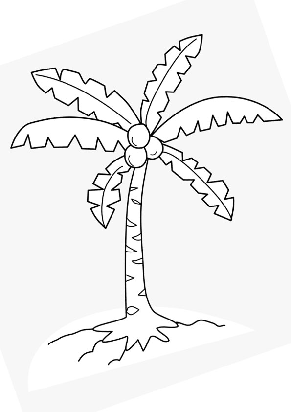 Details 124 Easy Drawing Of Coconut Tree Super Hot Xkldase edu vn