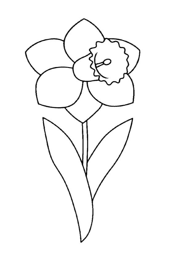 Coloring Pages | Printable Daffodil Coloring Pages for Kids
