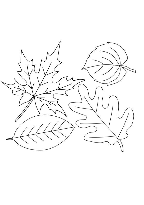 Coloring Sheets Fall Leaves - Free Leaves Coloring Pages To Print