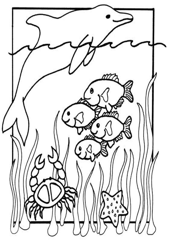 Coloring Pages | Fish Coloring Page for Kids