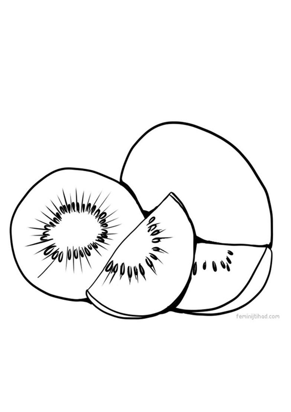 Free Printable Kiwi Fruit Coloring Pages for Kids coloring page