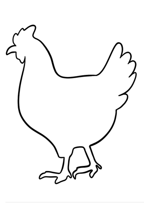 chicken coloring pages for preschoolers