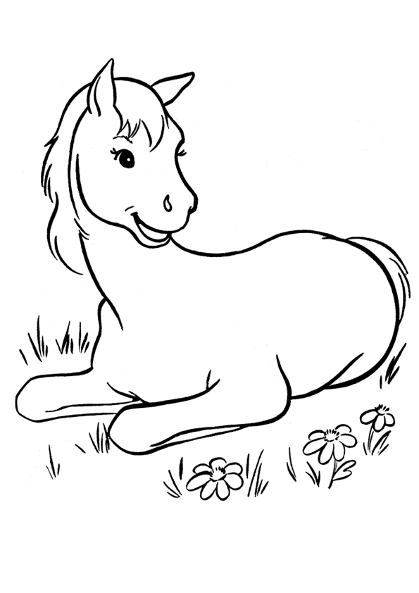 Horse Coloring Pages for Kids coloring page