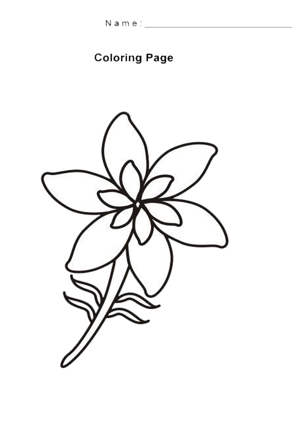 Coloring Pages | Jasmine Flower Coloring Page