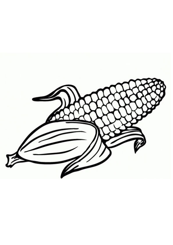 Coloring Pages Printable Corn Coloring Pages