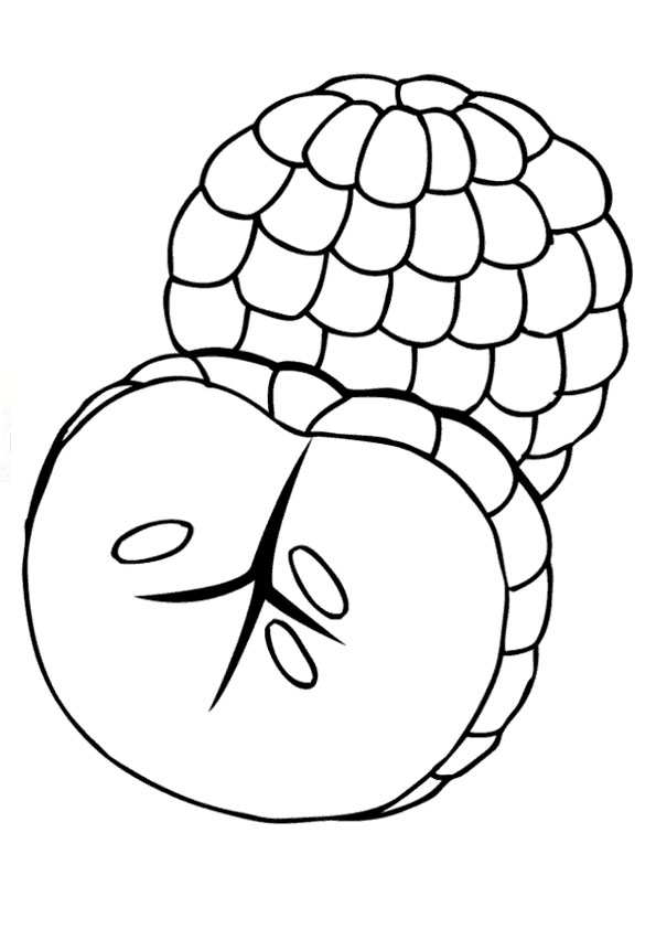 Coloring Pages | Ripe Custard Apple Coloring Page