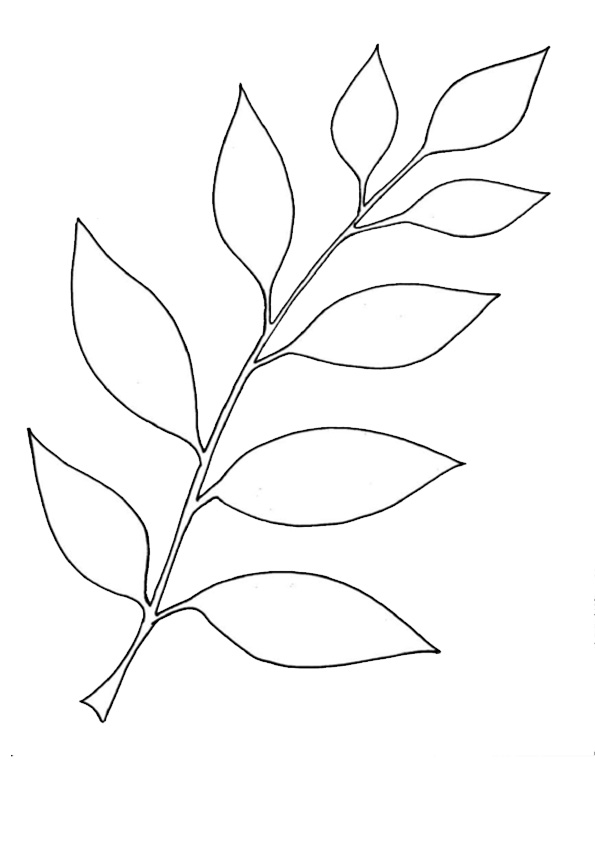 Printable Leaf Coloring Pages Printable Word Searches Printable Leaf Coloring Pages Printable Word Searches
