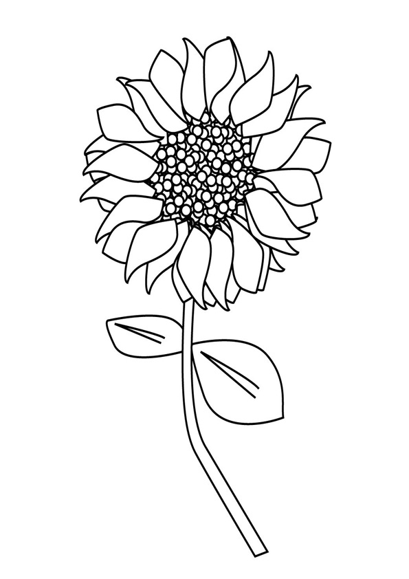Coloring Pages | Single Sunflower Coloring Pages