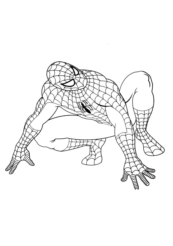 Print Spiderman coloring page 