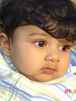 Arav