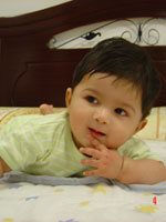 Andrew