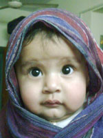 Dolchi