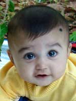 Avani