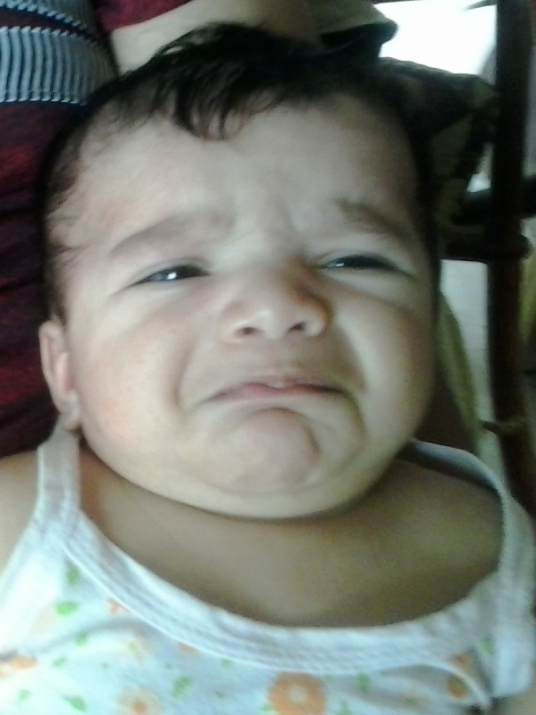 Hirva