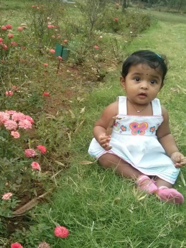 Saangya