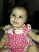 Pakhi