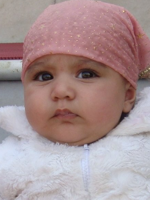 Pakhi