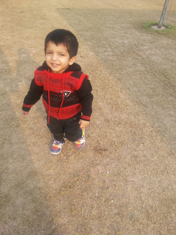 Veer