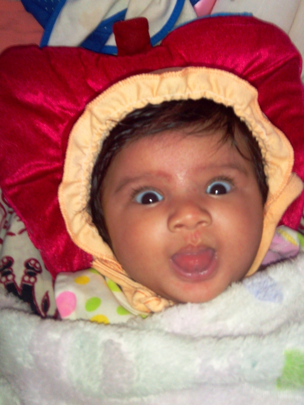 Prishi
