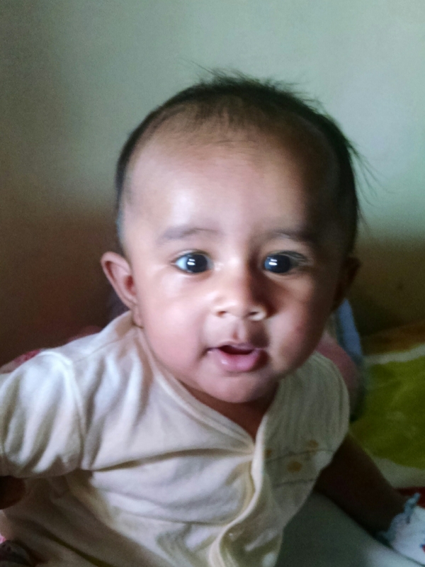 Arav