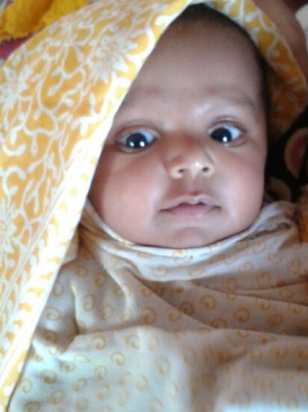 Avani