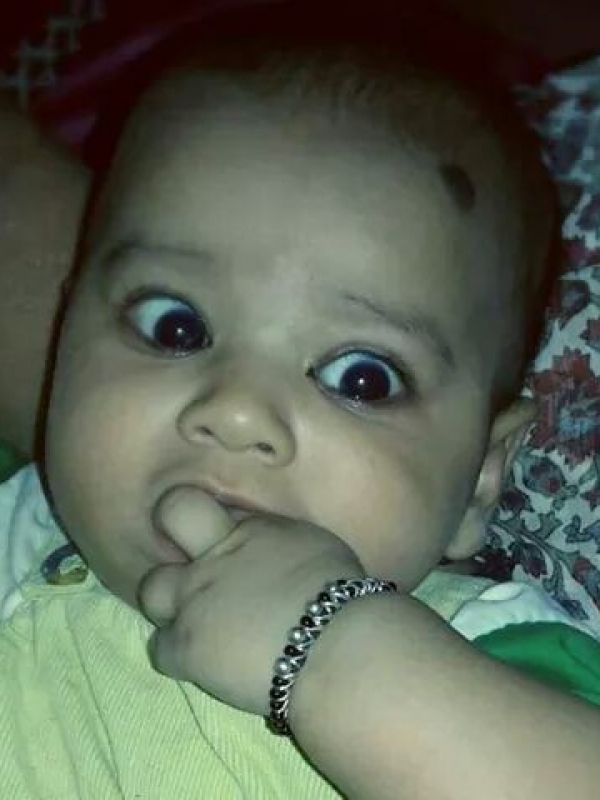 Vivan