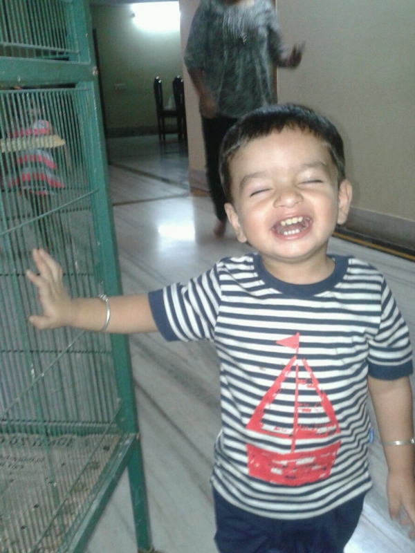 Shaurya