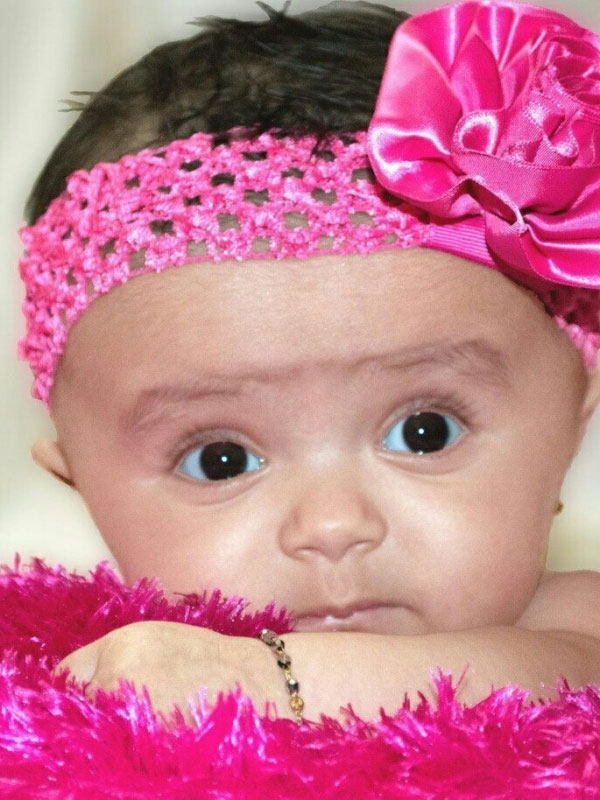 Harvi