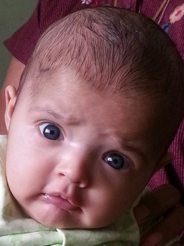 Jisha