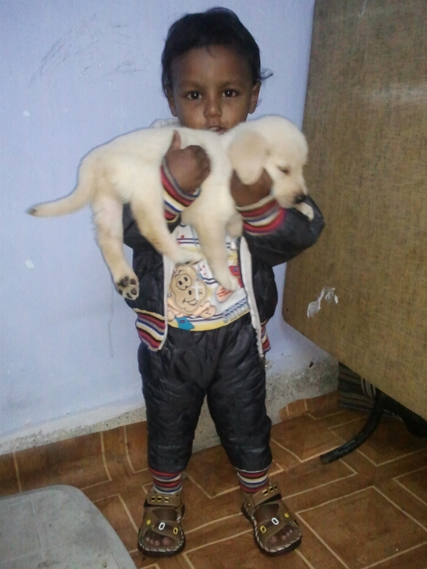 Preet