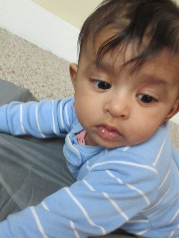 Mithun