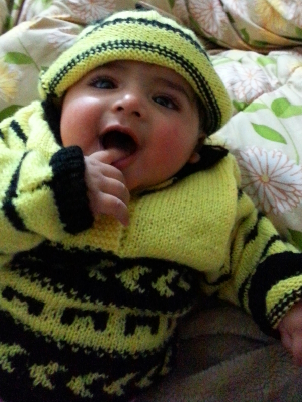 Panshul