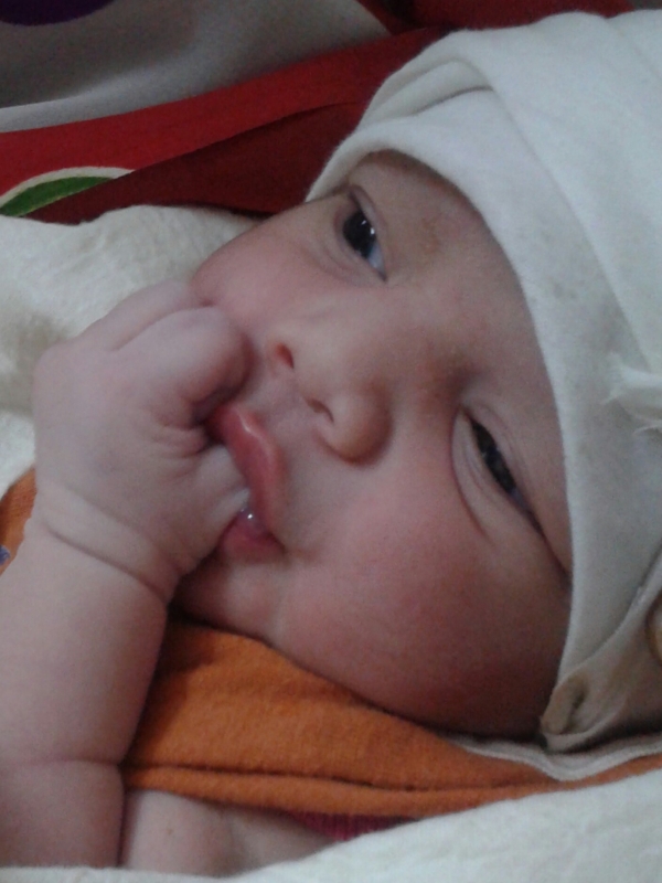 Shiresha