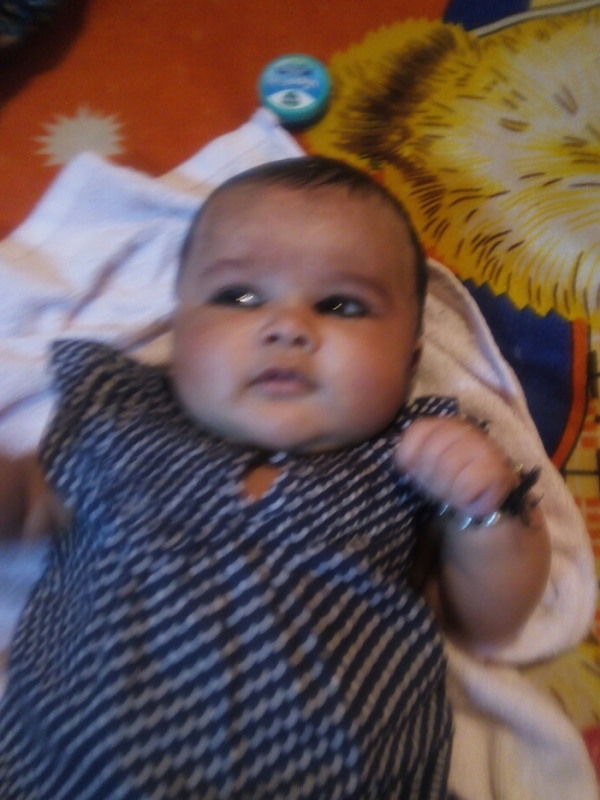 Zeel