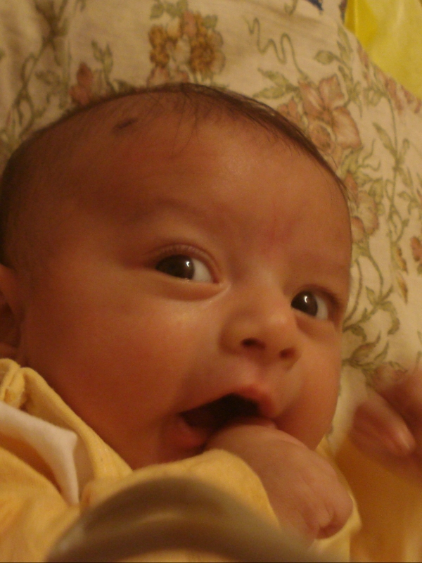 Moksh