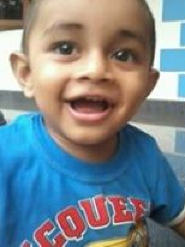 Shwan