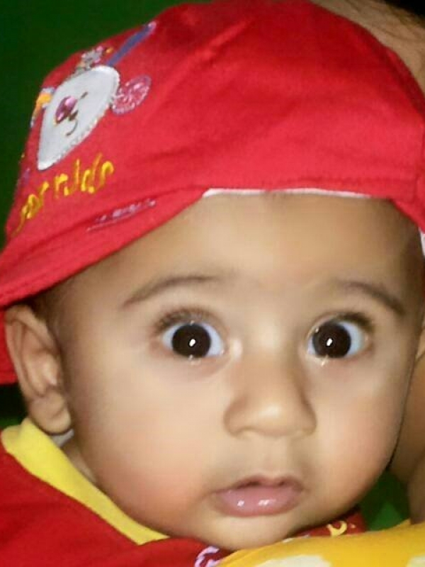 Veer