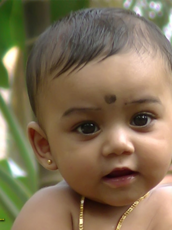 Ameya