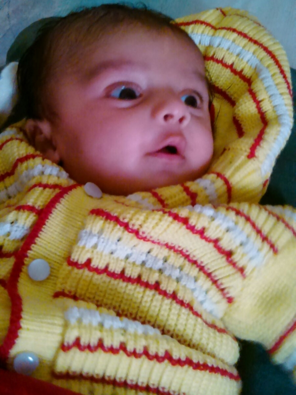 Hanu