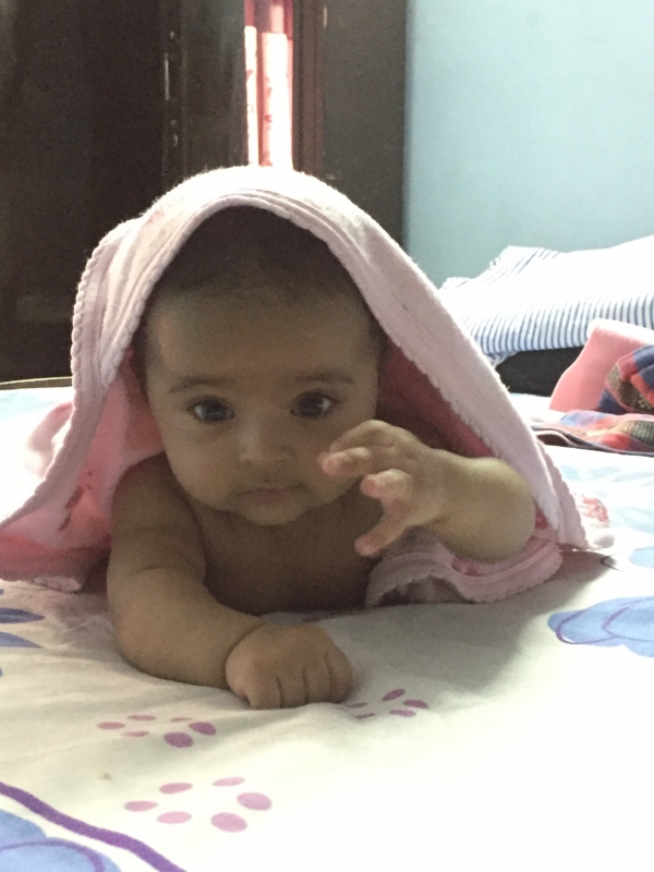 Avishi