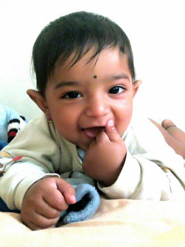 Jay