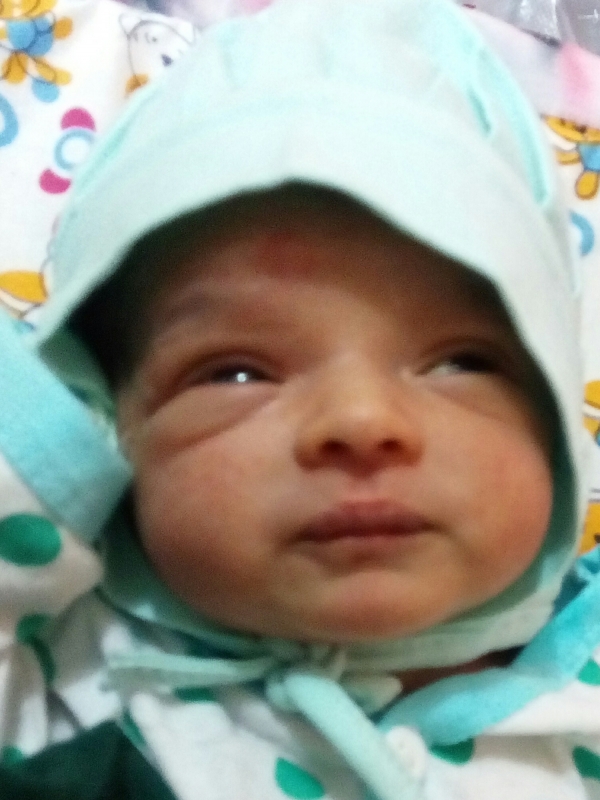 Mayshil