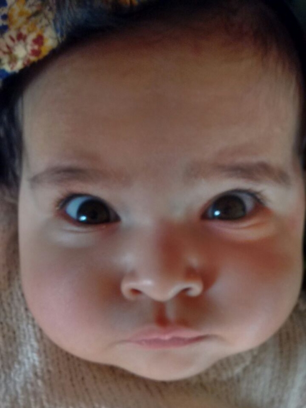 Krisha