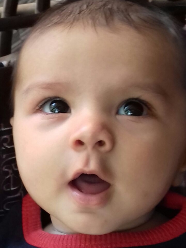 Naksh