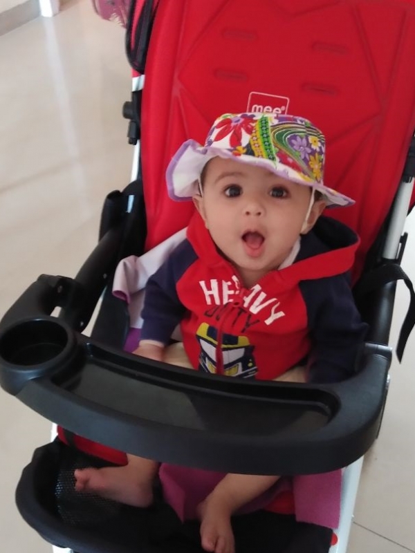 Sanidhya